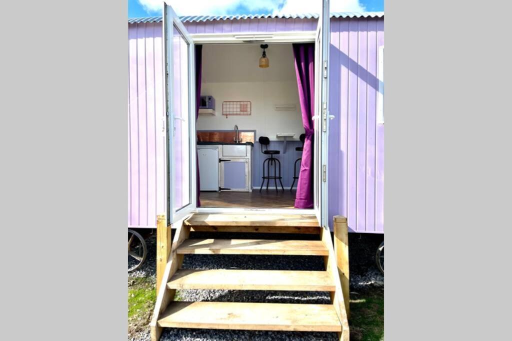 Lilac Tree Hut Tenby Ngoại thất bức ảnh